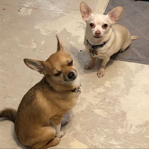 Meet your Posher, Ronda